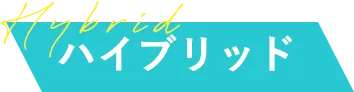 Hybrid ハイブリッド