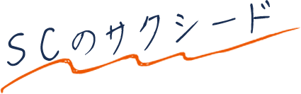 SCのサクシード